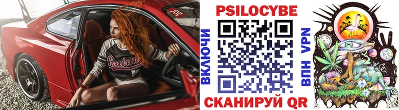 даркнет сайт  Козловка  Галлюциногенные грибы прущие грибы 